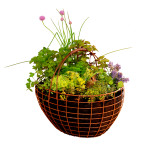 Garden basket with herbs